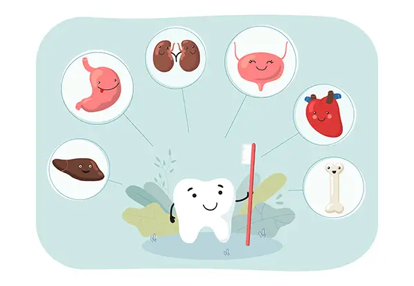 Illustrated tooth holding a toothbrush surrounded by organs such as the heart, stomach, and liver, highlighting the connection between oral health and overall body health.