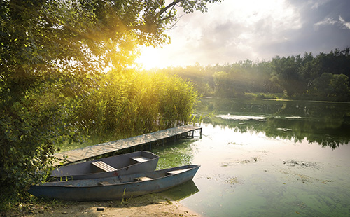 Image of trees and water source near The Center for Esthetic Dentistry.